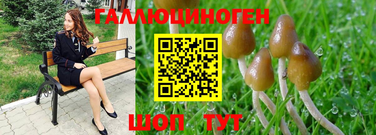 Галлюциногенные грибы мухоморы Сызрань